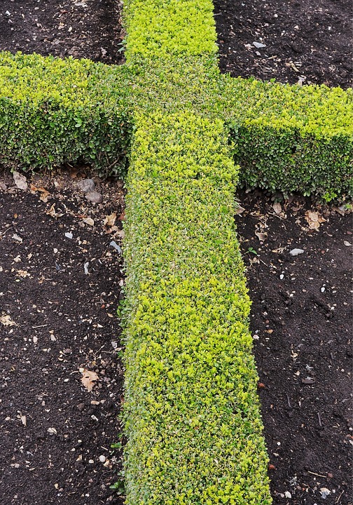 Croix verte en fleur